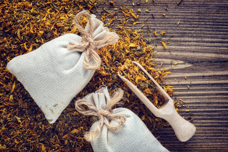 Magickal & Medicinal Benefits of Calendula