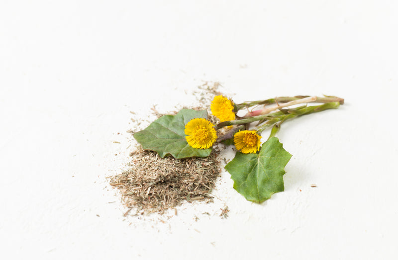 Organic Coltsfoot Leaf  Herb | Dried Cut and Sifted