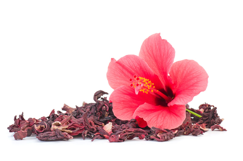 Organic Dried Hibiscus Flowers | Hibiscus spp, sabdariffa | Love | Natural | Herbs | Botanical | Apothecary | Dried